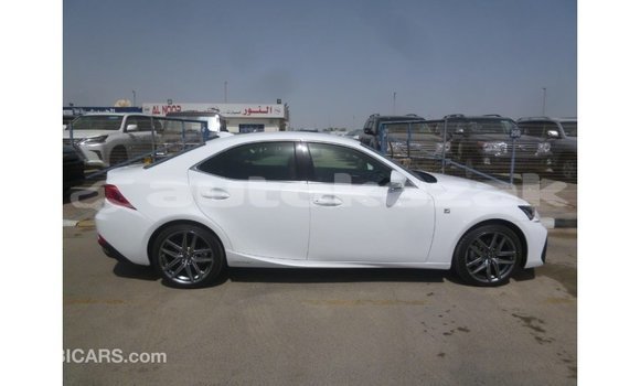 Buy Import Lexus IS White Car in Import - Dubai in Akmecet Buy Import Lexus IS White Car in Import - Dubai in Akmecet