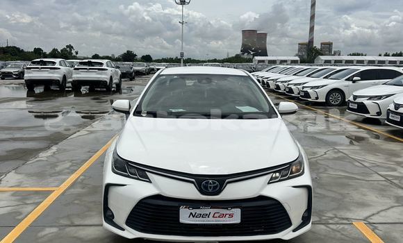 Buy Used Toyota Corolla White Car in Almaty in Almati