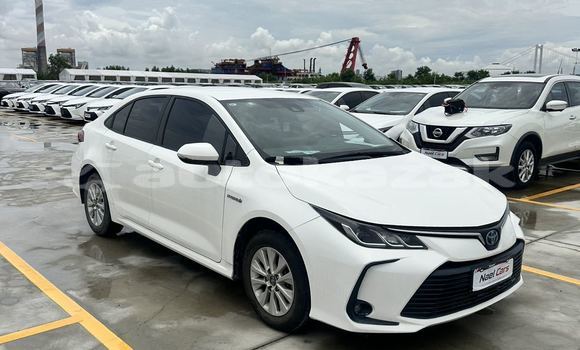 Buy Used Toyota Corolla White Car in Almaty in Almati Buy Used Toyota Corolla White Car in Almaty in Almati