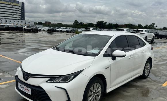 Buy Used Toyota Corolla White Car in Almaty in Almati Buy Used Toyota Corolla White Car in Almaty in Almati