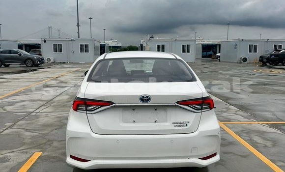 Buy Used Toyota Corolla White Car in Almaty in Almati Buy Used Toyota Corolla White Car in Almaty in Almati