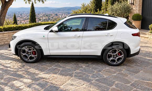 Buy Used Alfa Romeo Stelvio White Car in Georgiyev in Taraz Buy Used Alfa Romeo Stelvio White Car in Georgiyev in Taraz