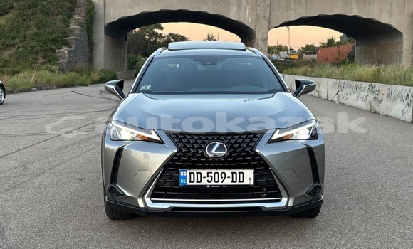 Buy Used Lexus UX Other Car in Georgiyev in Taraz Buy Used Lexus UX Other Car in Georgiyev in Taraz