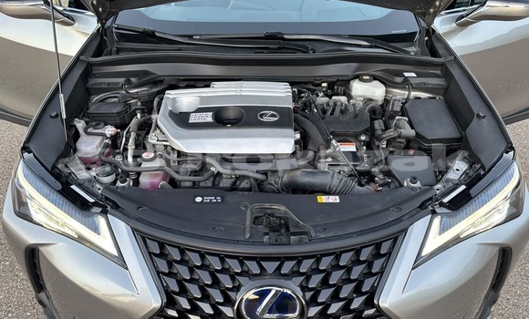 Buy Used Lexus UX Other Car in Georgiyev in Taraz Buy Used Lexus UX Other Car in Georgiyev in Taraz