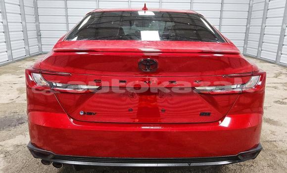 Buy Import Toyota Camry Red Car in Alekseevka in Akmola Buy Import Toyota Camry Red Car in Alekseevka in Akmola