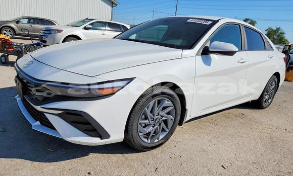 Buy Import Hyundai Elantra White Car in Borovskoy in Kostanay Buy Import Hyundai Elantra White Car in Borovskoy in Kostanay