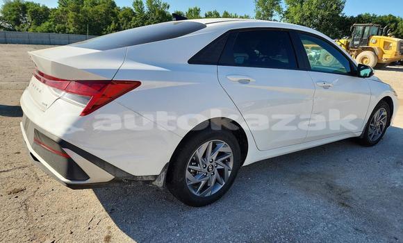 Buy Import Hyundai Elantra White Car in Borovskoy in Kostanay Buy Import Hyundai Elantra White Car in Borovskoy in Kostanay