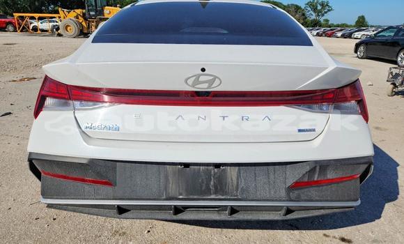 Buy Import Hyundai Elantra White Car in Borovskoy in Kostanay Buy Import Hyundai Elantra White Car in Borovskoy in Kostanay