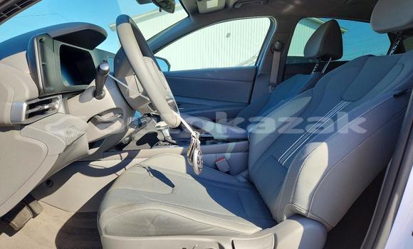Buy Import Hyundai Elantra White Car in Borovskoy in Kostanay Buy Import Hyundai Elantra White Car in Borovskoy in Kostanay