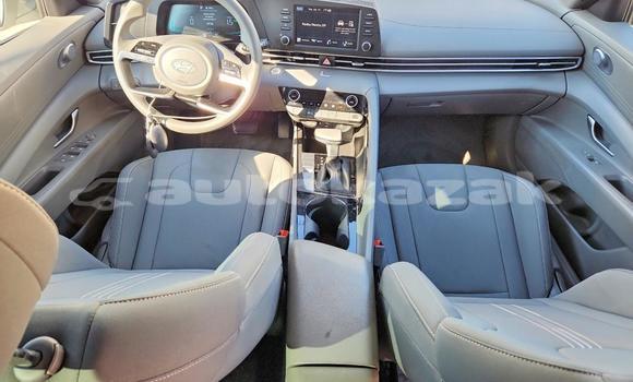 Buy Import Hyundai Elantra White Car in Borovskoy in Kostanay Buy Import Hyundai Elantra White Car in Borovskoy in Kostanay