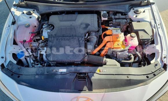 Buy Import Hyundai Elantra White Car in Borovskoy in Kostanay Buy Import Hyundai Elantra White Car in Borovskoy in Kostanay