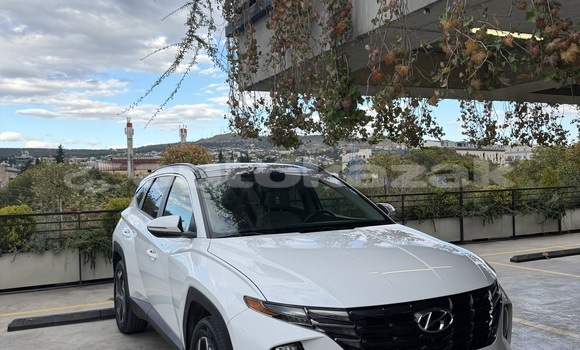 Buy Used Hyundai Tucson White Car in Abay in Karagandi