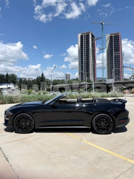 Big with watermark ford mustang taraz georgiyev 6496