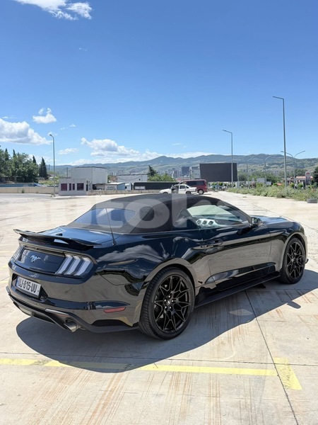 Big with watermark ford mustang taraz georgiyev 6496
