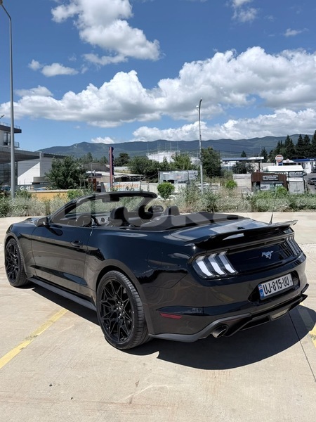 Big with watermark ford mustang taraz georgiyev 6496