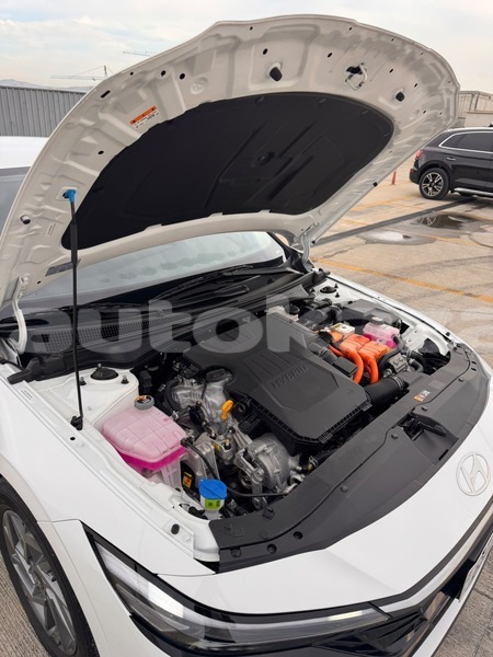 Big with watermark hyundai elantra taraz georgiyev 6554