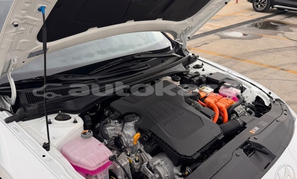 Buy Used Hyundai Elantra White Car in Georgiyev in Taraz Buy Used Hyundai Elantra White Car in Georgiyev in Taraz