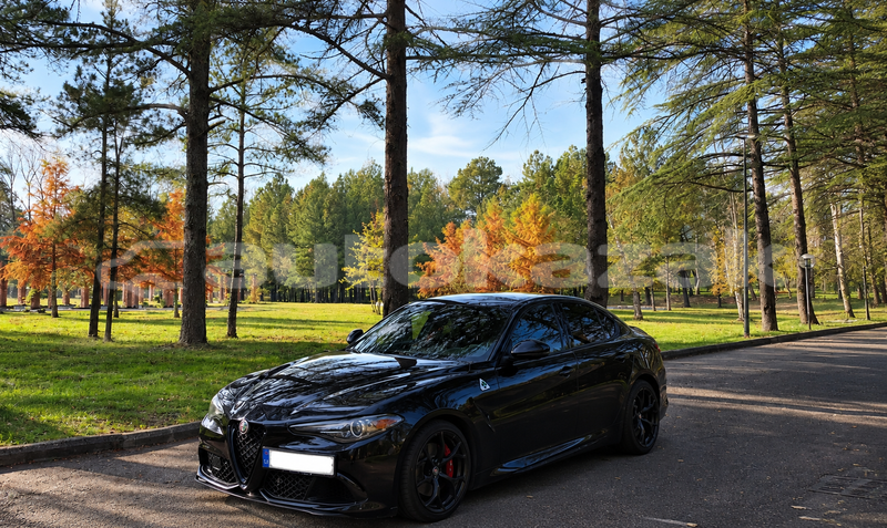 Big with watermark alfa romeo giulia taraz georgiyev 6562
