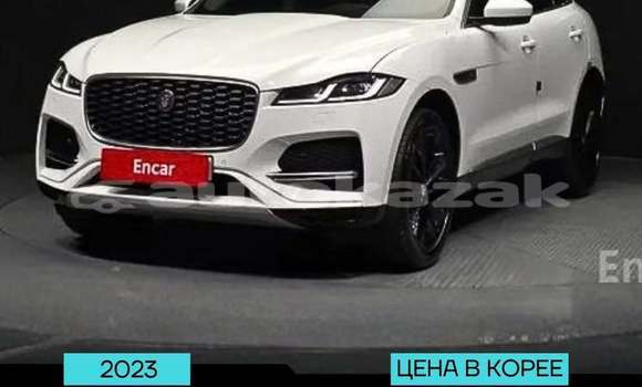 Buy Used Jaguar F-Pace White Car in Akmecet in Akmecet