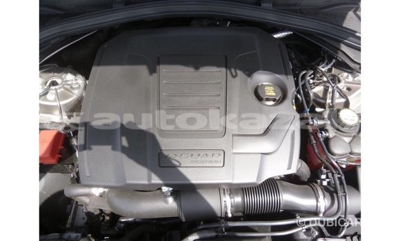 Buy Import Jaguar F-Pace Other Car in Import - Dubai in Akmecet Buy Import Jaguar F-Pace Other Car in Import - Dubai in Akmecet