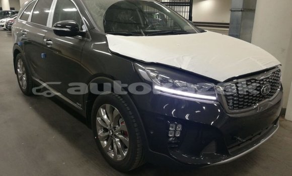 Buy Import Kia Sorento Brown Car in Import - Dubai in Akmecet