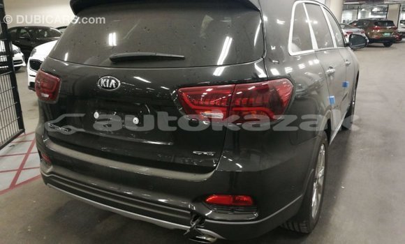 Buy Import Kia Sorento Brown Car in Import - Dubai in Akmecet Buy Import Kia Sorento Brown Car in Import - Dubai in Akmecet