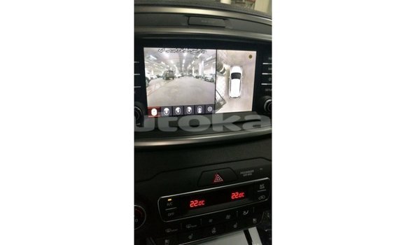 Buy Import Kia Sorento Brown Car in Import - Dubai in Akmecet Buy Import Kia Sorento Brown Car in Import - Dubai in Akmecet