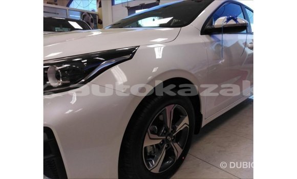 Buy Import Kia Cerato White Car in Import - Dubai in Akmecet Buy Import Kia Cerato White Car in Import - Dubai in Akmecet