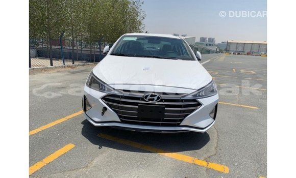 Buy Import Hyundai Elantra White Car in Import - Dubai in Akmecet Buy Import Hyundai Elantra White Car in Import - Dubai in Akmecet