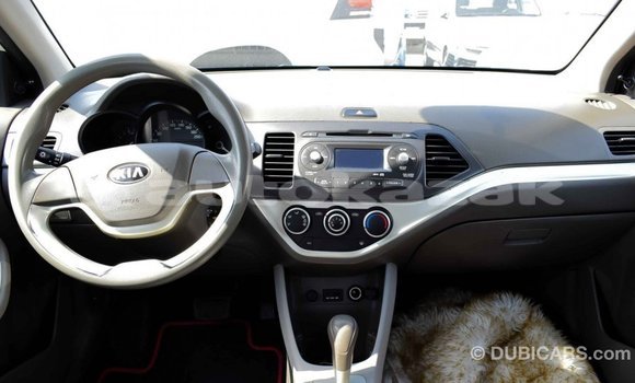 Buy Import Kia Picanto White Car in Import - Dubai in Akmecet Buy Import Kia Picanto White Car in Import - Dubai in Akmecet