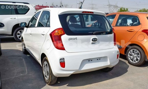 Buy Import Kia Picanto White Car in Import - Dubai in Akmecet Buy Import Kia Picanto White Car in Import - Dubai in Akmecet