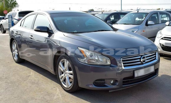 Buy Import Nissan Maxima Other Car in Import - Dubai in Akmecet Buy Import Nissan Maxima Other Car in Import - Dubai in Akmecet