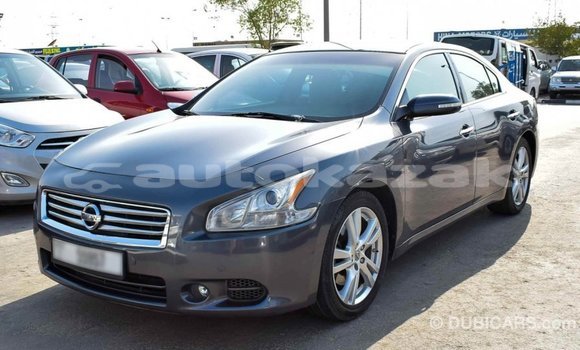 Buy Import Nissan Maxima Other Car in Import - Dubai in Akmecet Buy Import Nissan Maxima Other Car in Import - Dubai in Akmecet