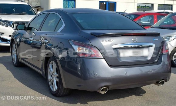 Buy Import Nissan Maxima Other Car in Import - Dubai in Akmecet Buy Import Nissan Maxima Other Car in Import - Dubai in Akmecet