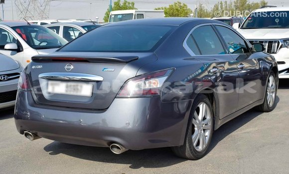 Buy Import Nissan Maxima Other Car in Import - Dubai in Akmecet Buy Import Nissan Maxima Other Car in Import - Dubai in Akmecet