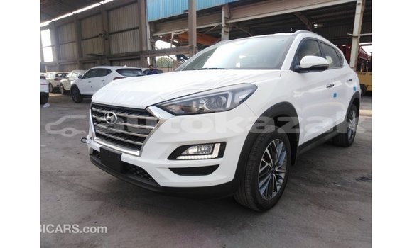 Buy Import Hyundai Tucson White Car in Import - Dubai in Akmecet Buy Import Hyundai Tucson White Car in Import - Dubai in Akmecet