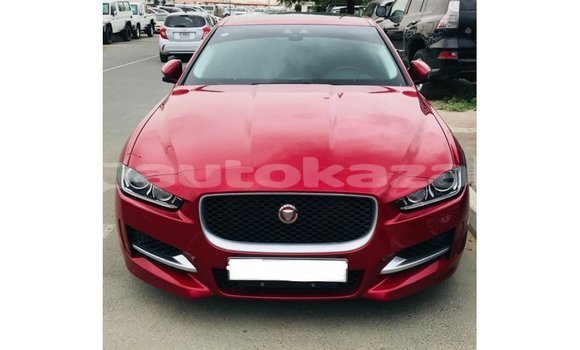 Buy Import Jaguar XE Red Car in Import - Dubai in Akmecet