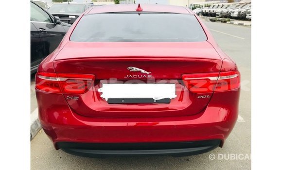 Buy Import Jaguar XE Red Car in Import - Dubai in Akmecet Buy Import Jaguar XE Red Car in Import - Dubai in Akmecet