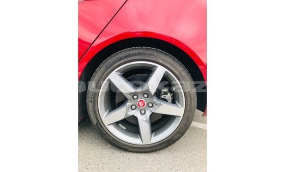 Buy Import Jaguar XE Red Car in Import - Dubai in Akmecet Buy Import Jaguar XE Red Car in Import - Dubai in Akmecet